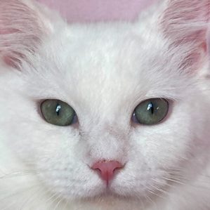 Bianca Close Up